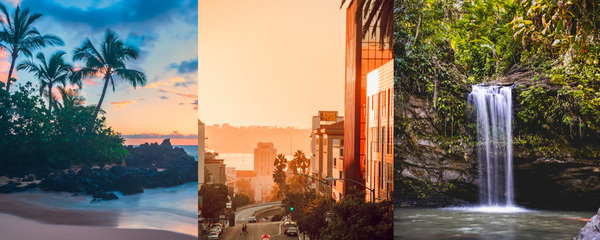 A tropical beach with palm trees, a city street and lush green forest